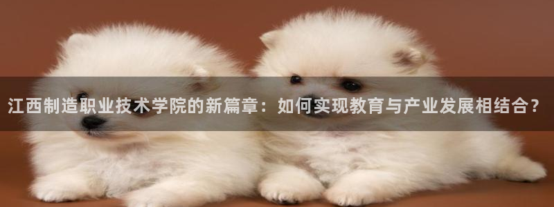 彩神大发官网：江西制造职业技术学院的新篇章：如何实现教育与产