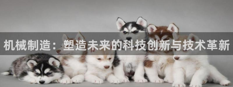 彩神怎么样可以提现
