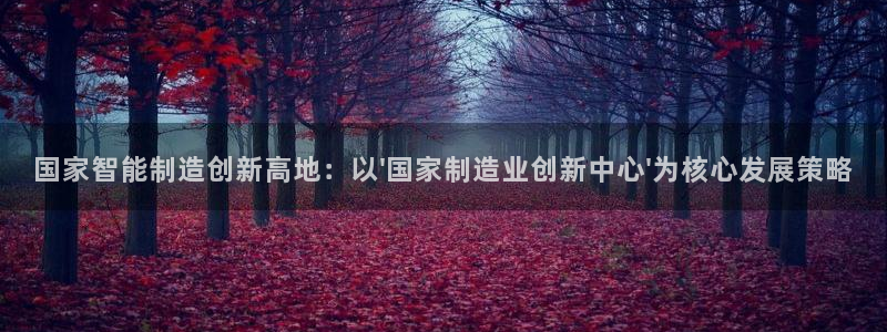彩神购彩-购彩大厅入口计划群：国家智能制造创新高地：以\'国