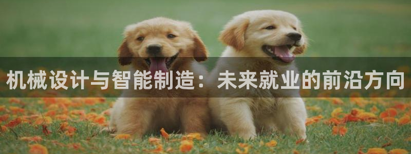 天天赢彩神