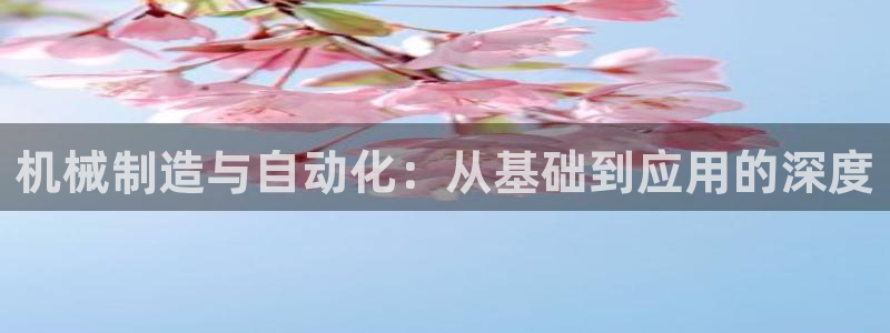 彩神赢钱了吗