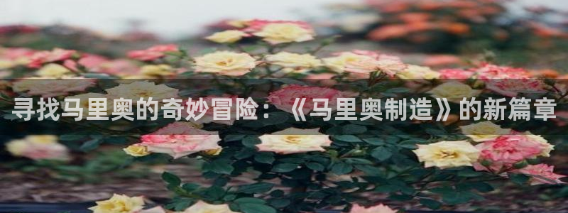 彩神v8手机客户端下载：寻找马里奥的奇妙冒险：《马里奥制造》的新篇章