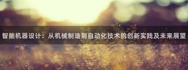 彩神V8有限公司：智能机器设计：从机械制造到自动化技术的创新实践及未来展望