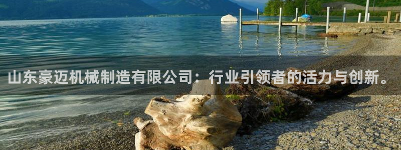 彩神8官网版是正规的吗：山东豪迈机械制造有限公司：行业引领者的活力与创新。