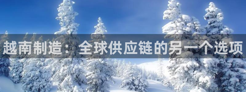 彩神v网赌软件下载：越南制造：全球供应链的另一个选项