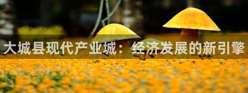 彩神购彩-购彩大厅入口下载：大城县现代产业城：经济发展的新引擎