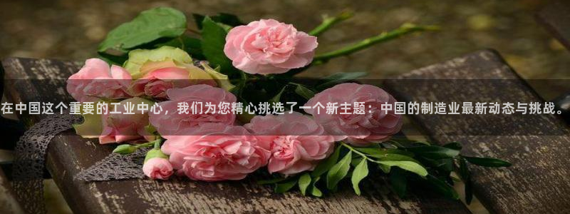 彩神ⅴll用户登录：在中国这个重要的工业中心，我们为您精心挑选了一个新主题：中国的制造业最新动态与挑战。