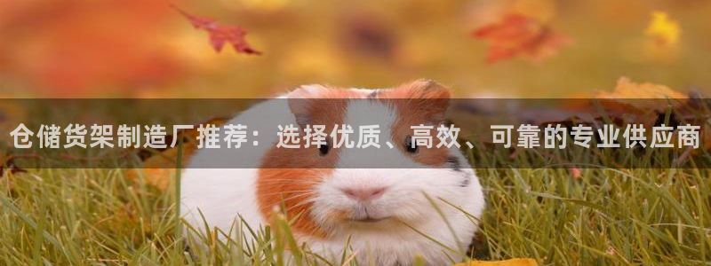 彩神ll能赚钱吗：仓储货架制造厂推荐：选择优质、高效、可靠的