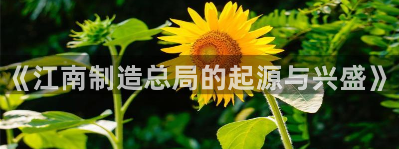天天赢彩神：《江南制造总局的起源与兴盛》