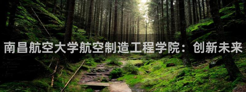 彩神是怎样一个平台赚钱的：南昌航空大学航空制造工程学院：创新未来