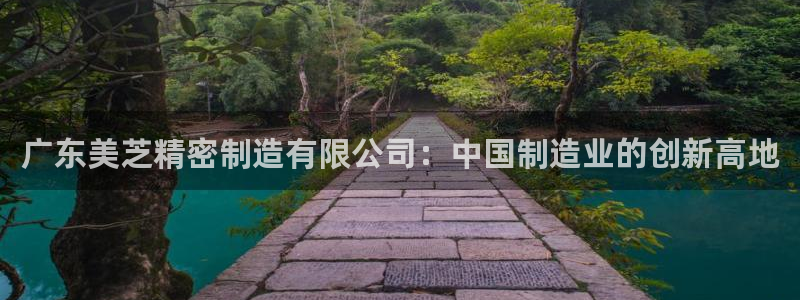 彩神v天天：广东美芝精密制造有限公司：中国制造业的创新高地