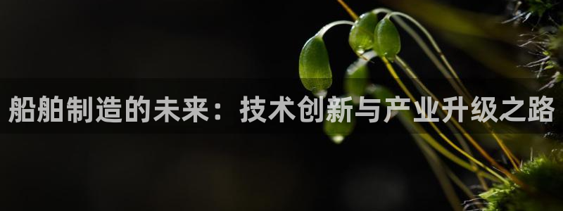 彩神争霸官方下载：船舶制造的未来：技术创新与产业升级之路