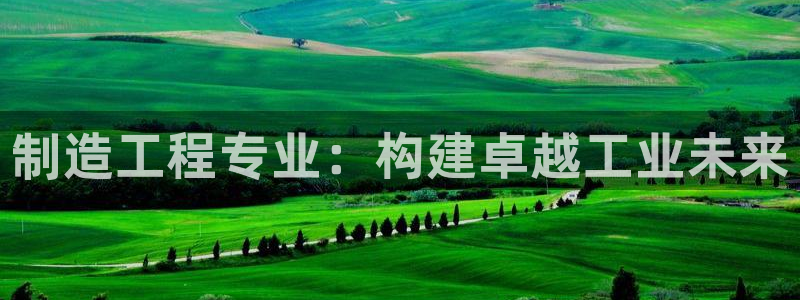 彩神8是正规平台吗：制造工程专业：构建卓越工业未来