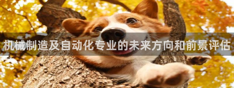 彩神v8是一个什么平台啊：机械制造及自动化专业的未来方向和前景评估
