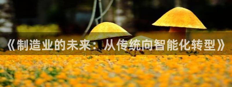 彩神平台是真的吗：《制造业的未来：从传统向智能化转型》
