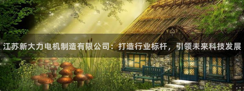 彩神V集团有限公司：江苏新大力电机制造有限公司：打造行业标杆，引领未来科技发展