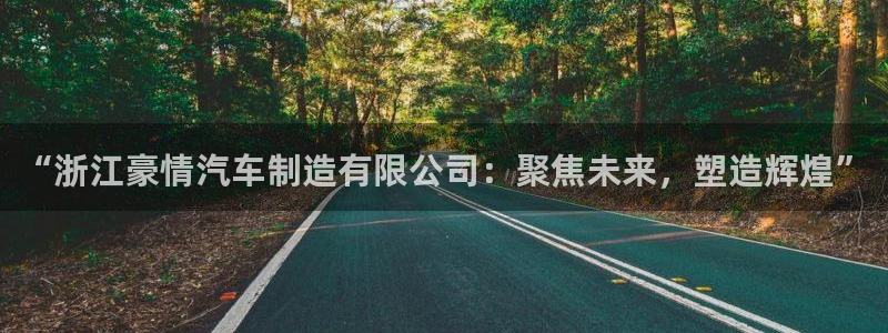 彩神v平台：“浙江豪情汽车制造有限公司：聚焦未来，塑造辉煌”