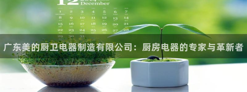 彩神官方网站登录是多少：广东美的厨卫电器制造有限公司：厨房电器的专家与革新者
