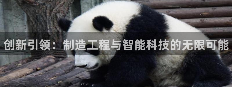彩神vll首页：创新引领：制造工程与智能科技的无限可能