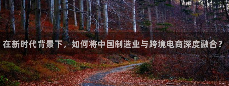 v大发彩神8iii：在新时代背景下，如何将中国制造业与跨境电商深度融合？