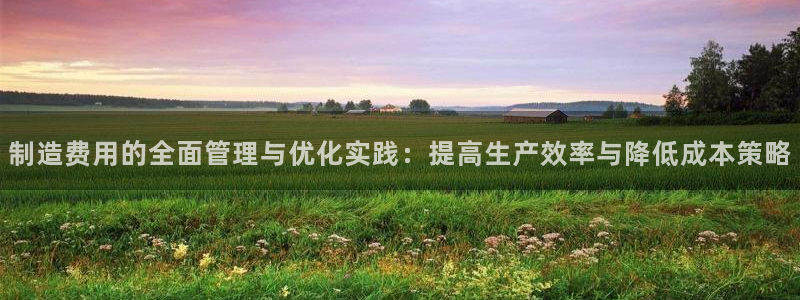 彩神大发官网：制造费用的全面管理与优化实践：提高生产效率与降低成本策略