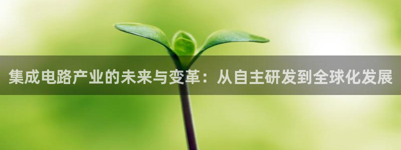 彩神8彩平台官网：集成电路产业的未来与变革：从自主研发到全球化发展