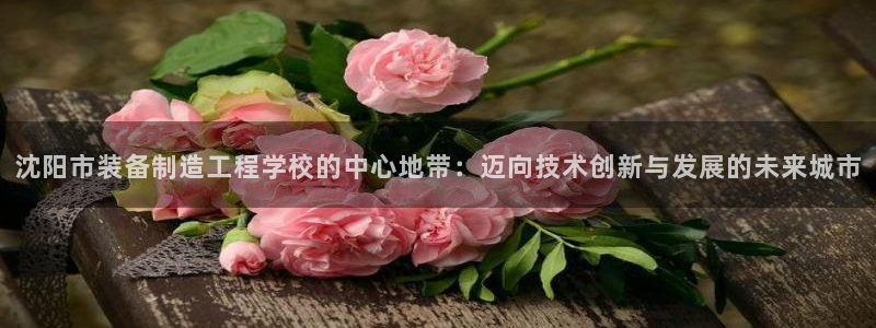 彩神v争霸有限公司：沈阳市装备制造工程学校的中心地带：迈向技术创新与发展的未来城市