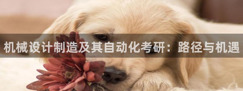 彩神iv争霸购彩大厅：机械设计制造及其自动化考研：路径与机遇