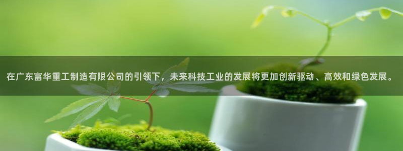 彩神数码科技有限公司：在广东富华重工制造有限公司的引领下，未来科技工业的发展将更加创新驱动、高效和绿色发展。