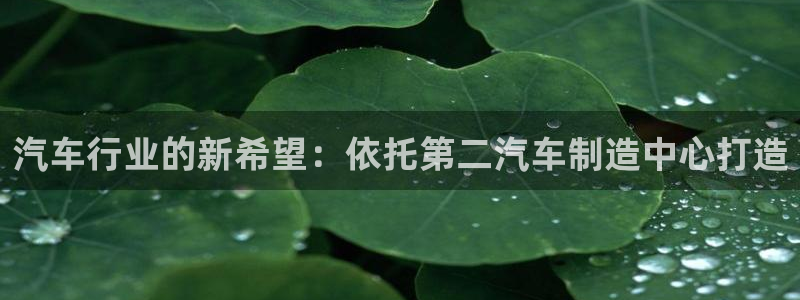 在彩神网输了六万多怎么拿回来：汽车行业的新希望：依托第二汽车制造中心打造