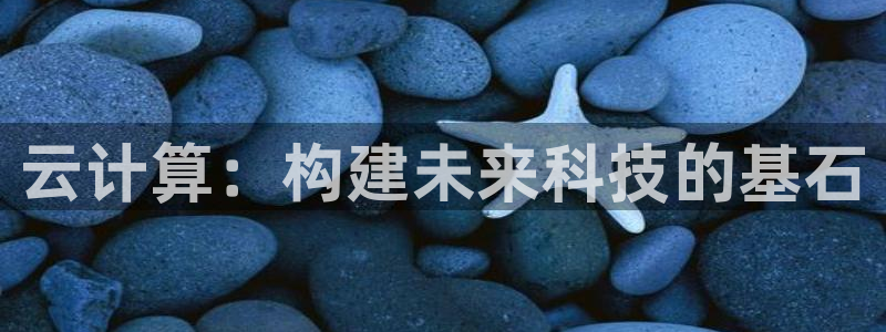 彩神8官网500