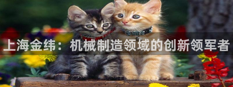 彩神v8平台正规吗安全吗