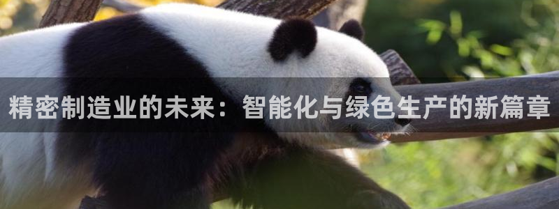 彩神可以提现吗：精密制造业的未来：智能化与绿色生产的新篇章