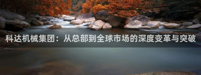 彩神8彩平台：科达机械集团：从总部到全球市场的深度变革与突破
