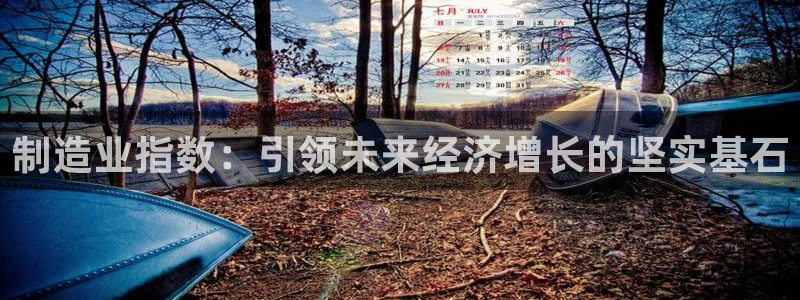 彩神vii购彩l心
