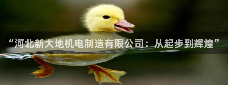 彩神赢钱了吗是真的吗