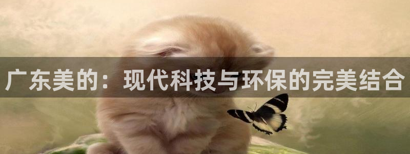 彩神VII购彩中心