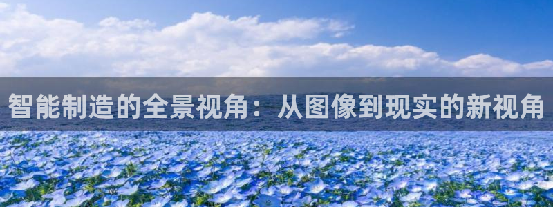 彩神网合法吗