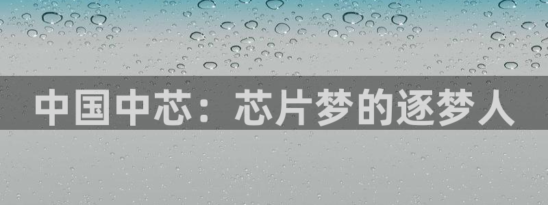 彩神V集团有限公司