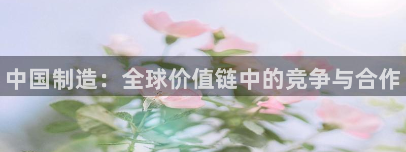 新版彩神v8登录不上去：中国制造：全球价值链中的竞争与合作