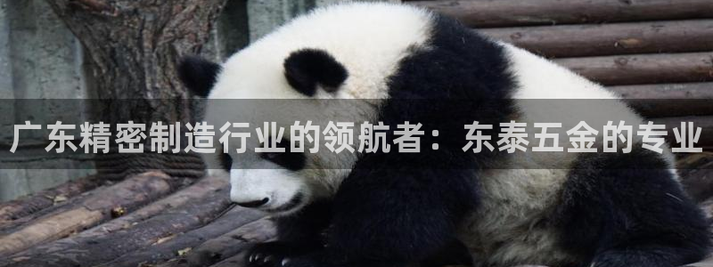 彩神vll购彩大厅大众：广东精密制造行业的领航者：东泰五金的