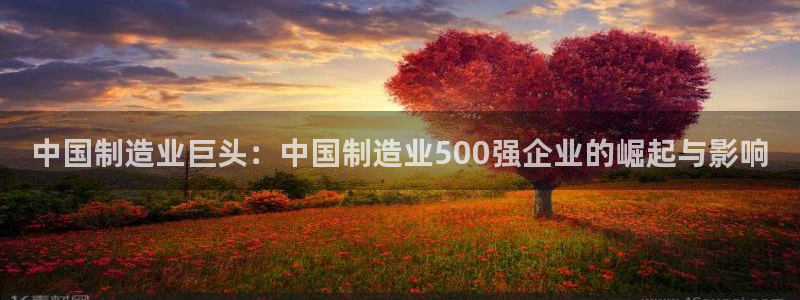 彩神 好 平台：中国制造业巨头：中国制造业500强企业的崛起与影响
