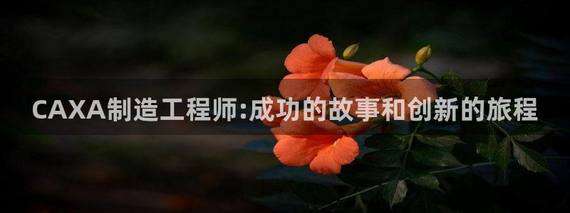 彩神v