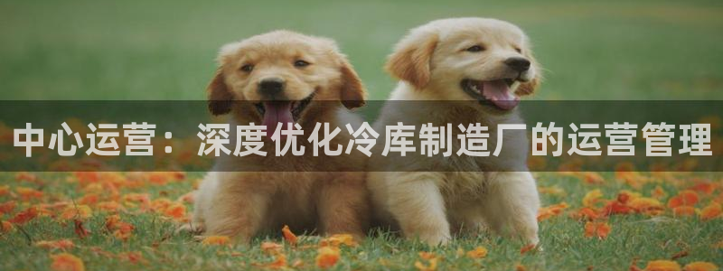 彩神8购彩-购彩大厅：中心运营：深度优化冷库制造厂的运营管理