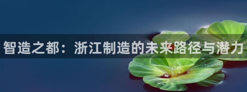 彩神ⅴll用户登录：智造之都：浙江制造的未来路径与潜力