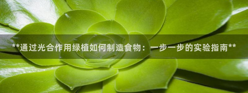 彩神通官方网